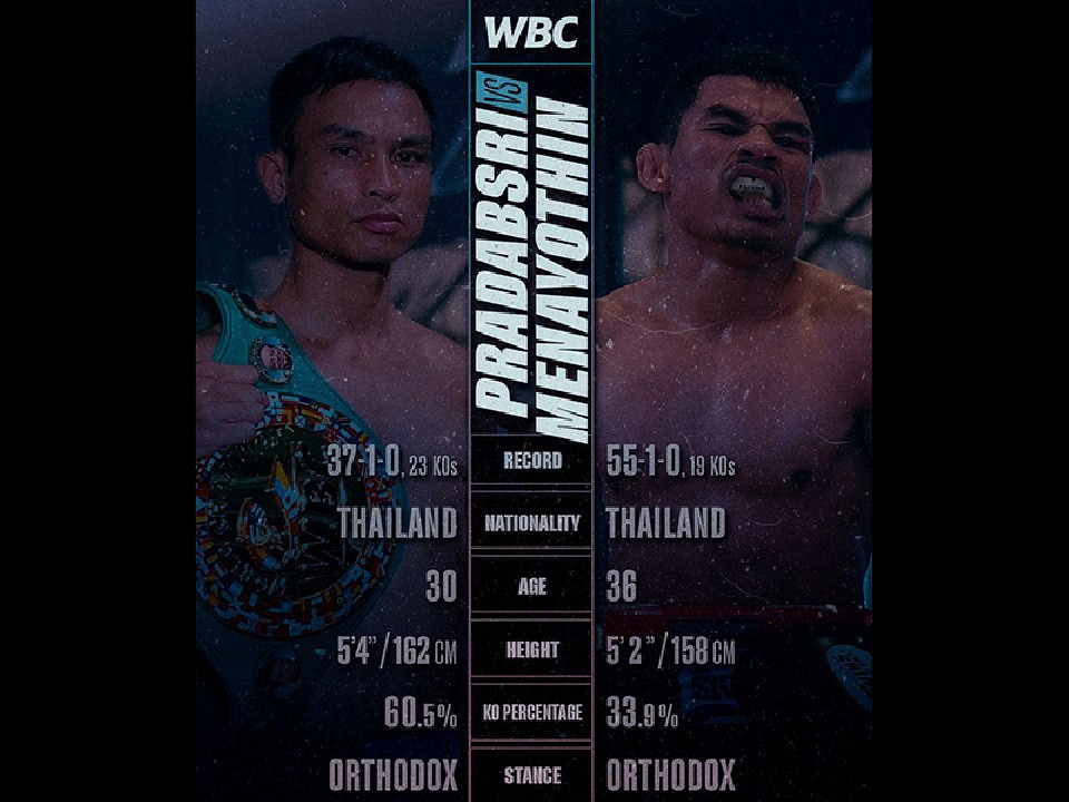 �v���_�u�X��vs�����w��