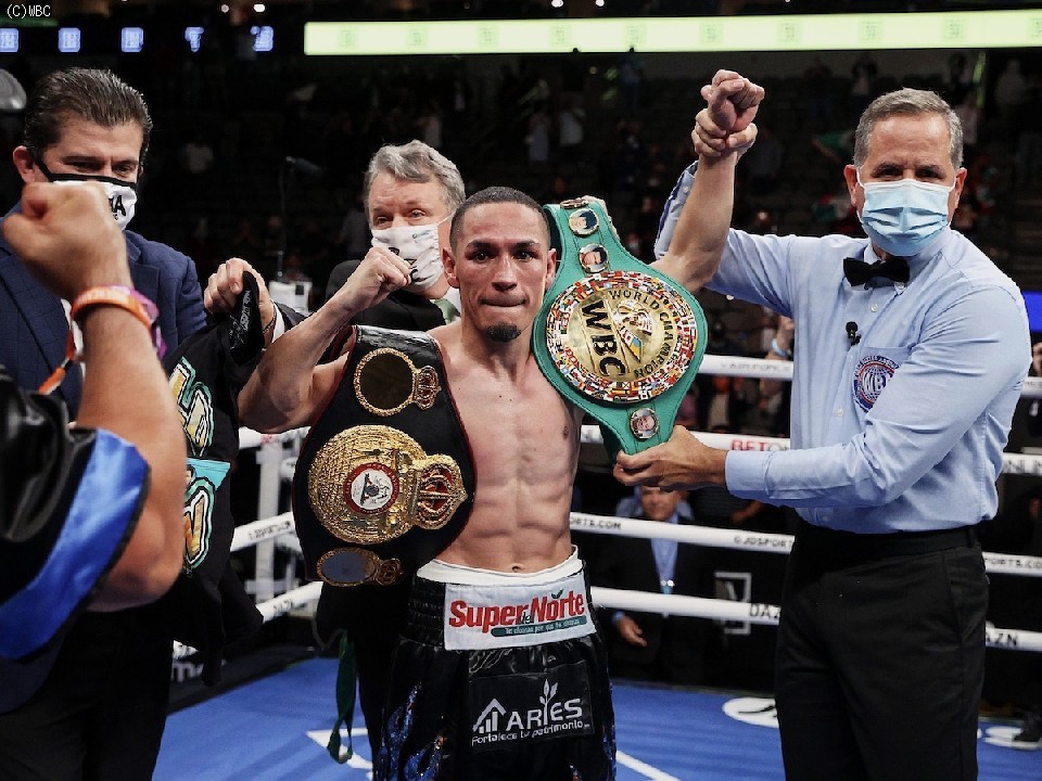 WBA�X�[�p�[�t���C�������������D���