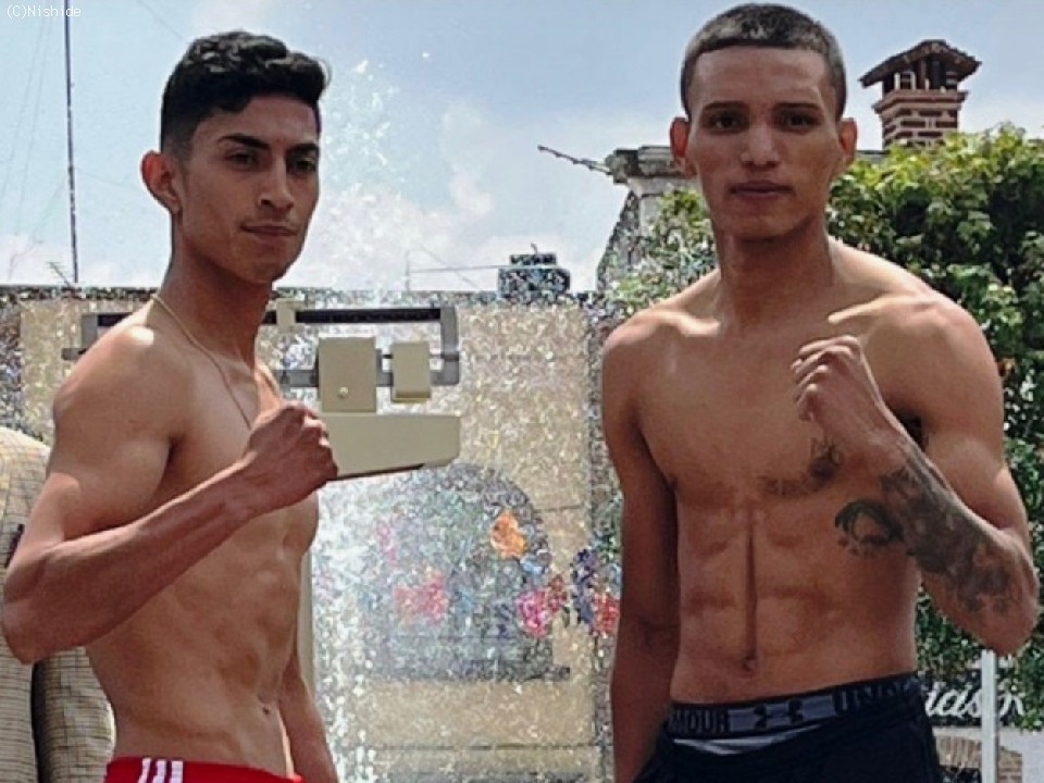 WBC���E�t���C������Ҍ����