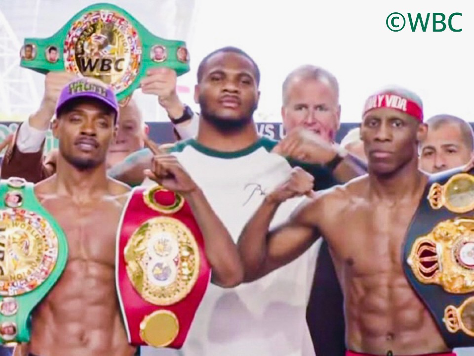 �E�F���^�[��3�c�̉��������