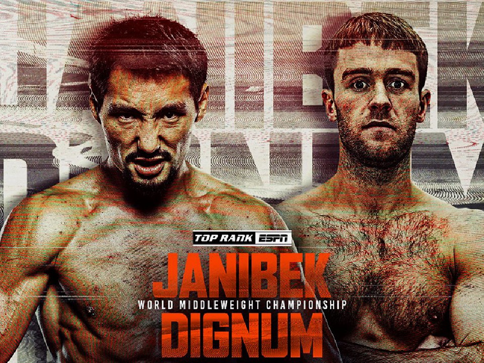 �A�����J�k�E�Fvs�f�B�O�i��