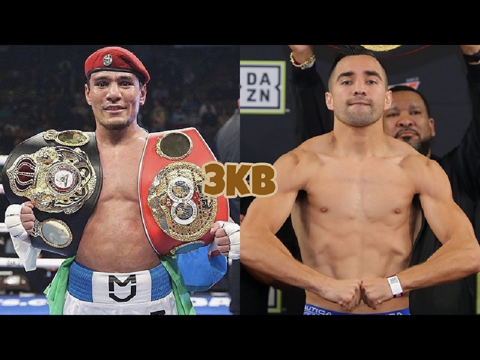 �A�t�}�_���G�t��3�x�ڂ�2���h�q��