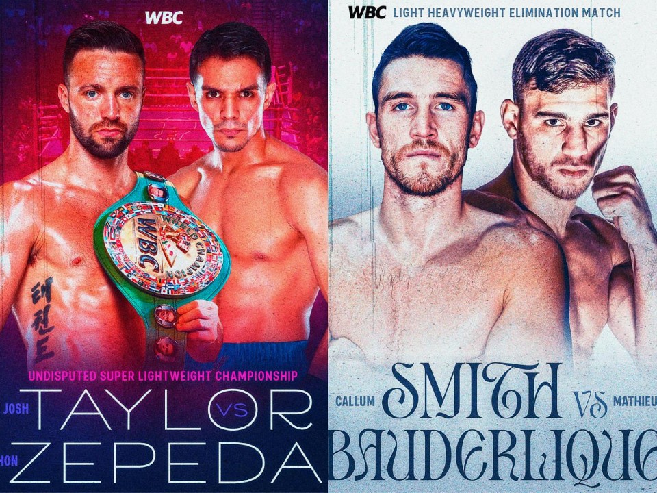 WBC(���E�{�N�V���O�]�c��)���D