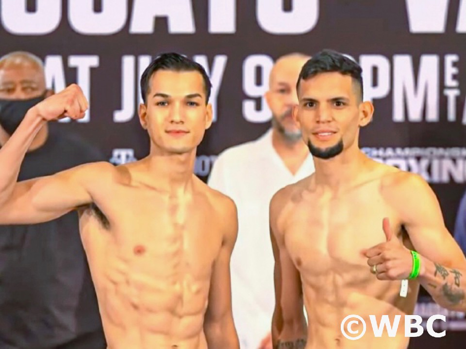 �t�B�Q���Avs�J�����X