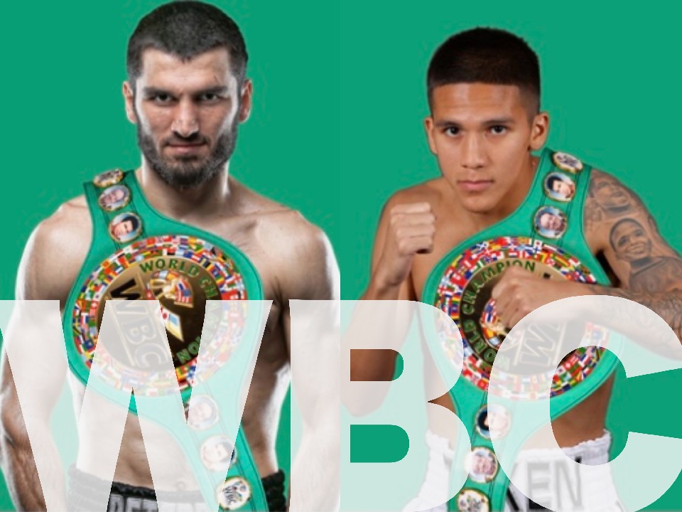 Boxer of the month in Jun/2022