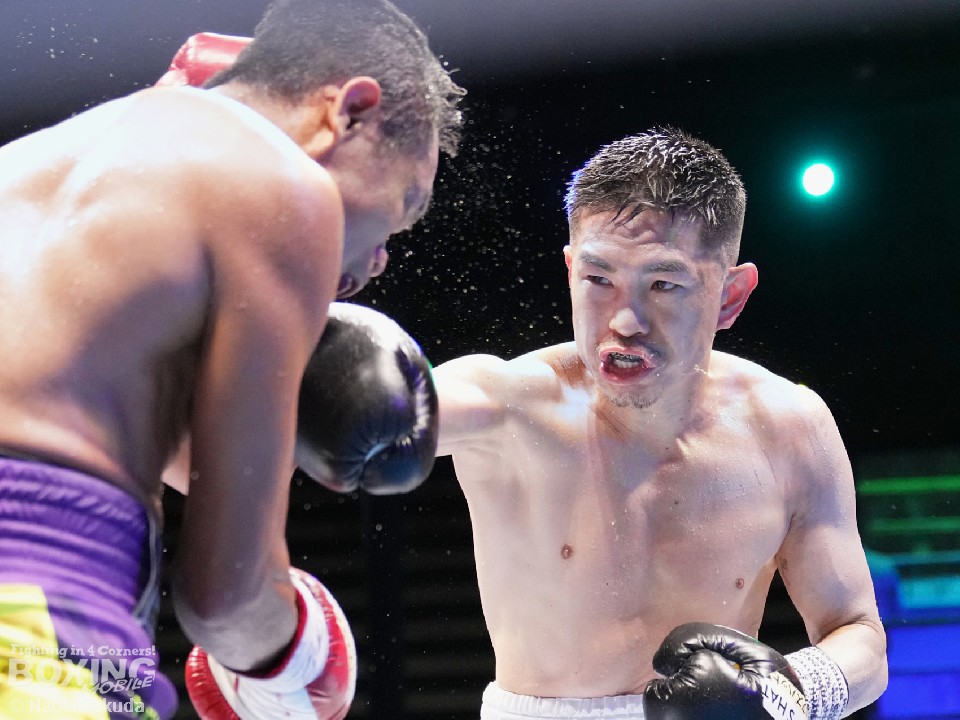 ��c�摍���̈��