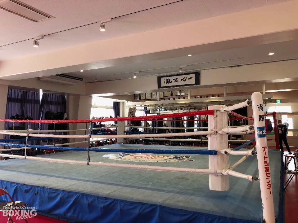 �����{������