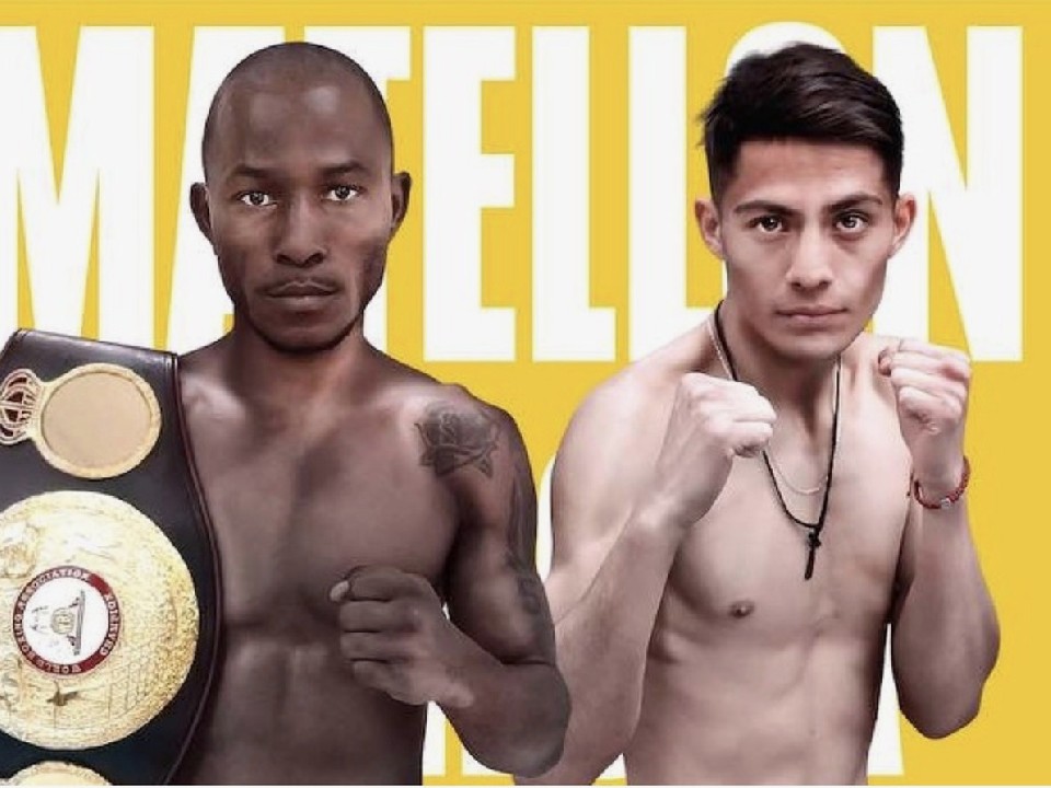 WBA�t�F�f�J���u�EL�t���C�����������