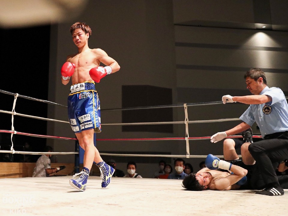 ���{�C��(VADY)���_�E����D��