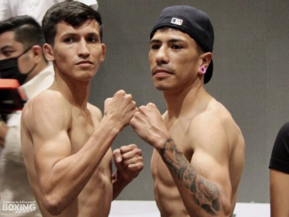 WBC���E�~�j�}��������Ҍ����