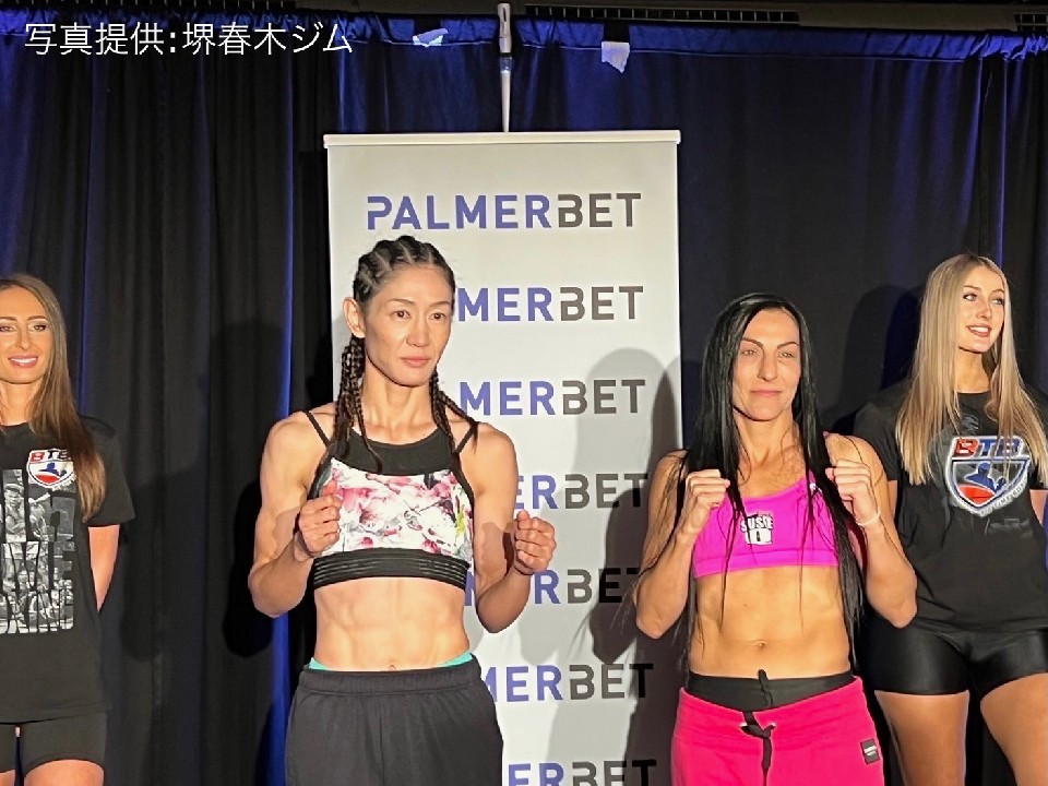 ���c���q(��t��)�̍ċN��