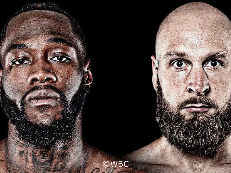 ���C���_�[vs�w���j�E�X