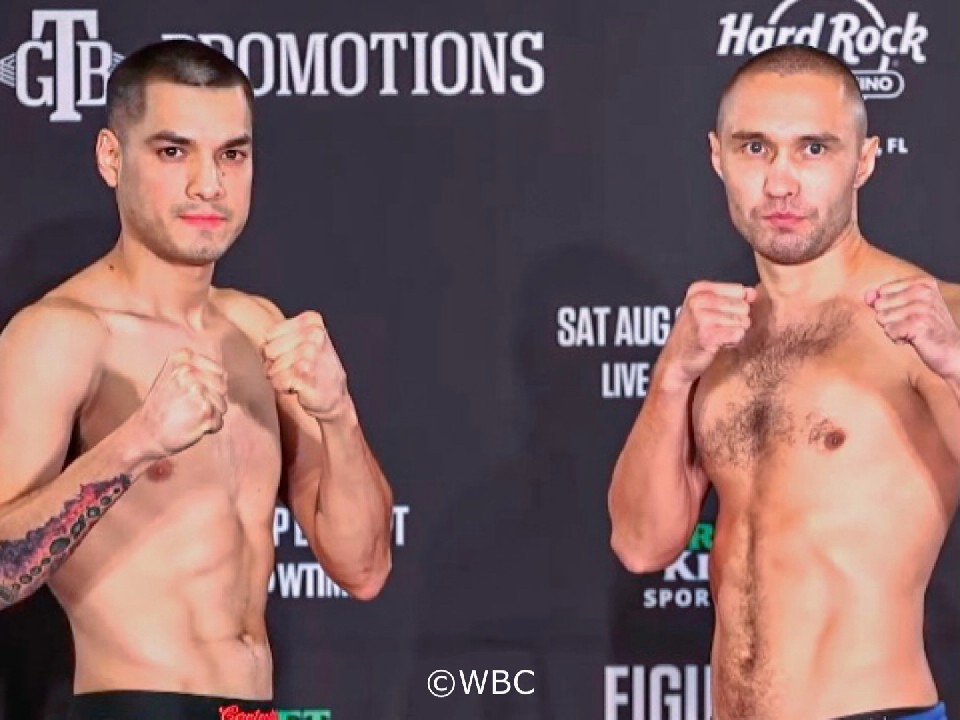 �t�B�Q���Avs�Z���Q�C