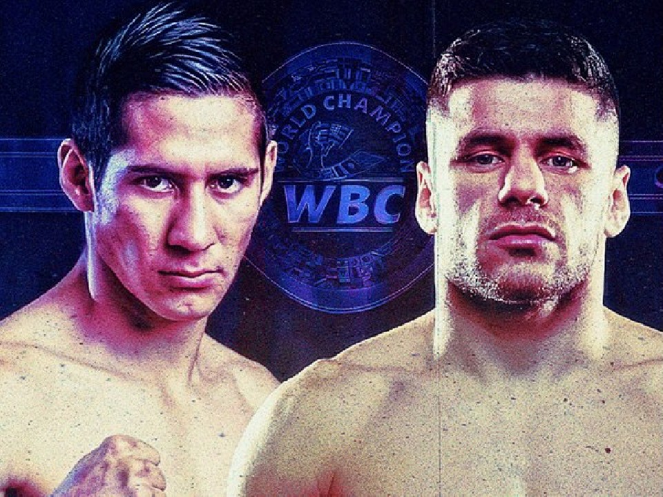 �A���o�j�A��WBC�V���o�[�^�C�g����