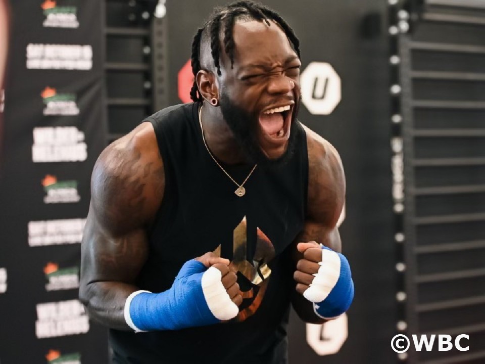 �f�I���^�C�E���C���_�[(36=�č�)