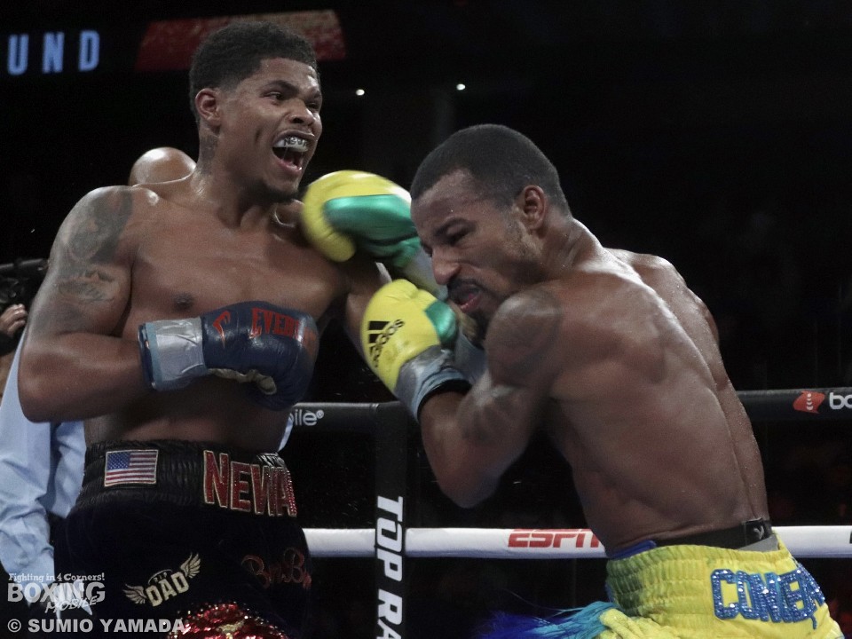 �X�e�B�[�u���\��vs�R���Z�C�T��