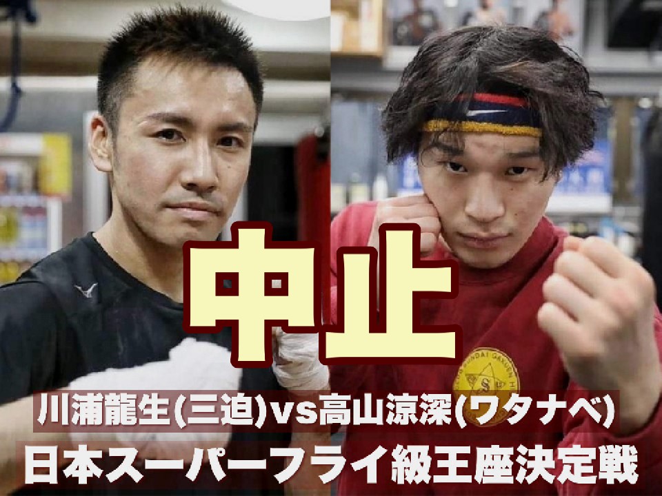 ���{�X�[�p�[�t���C�����������͒��~