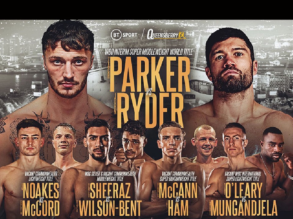 WBO�X�[�p�[�~�h�����b�艤�������