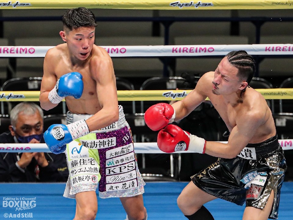 ��c�摍���̈��