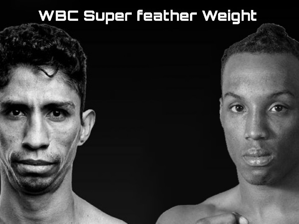 �X�[�p�[�t�F�U�[�����������