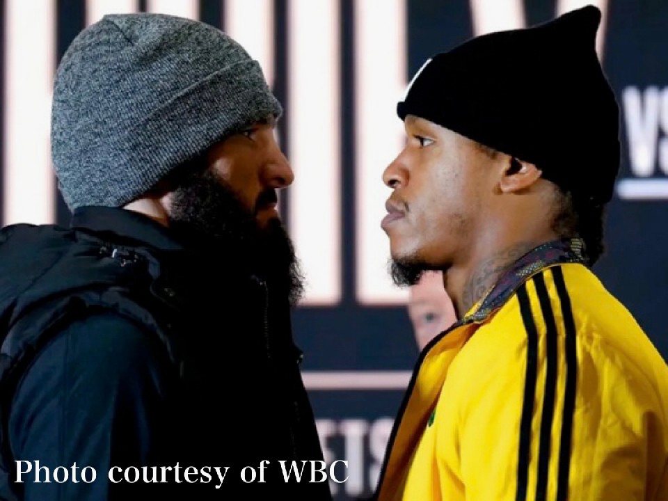 ���C�g�w�r�[�������h���̐w�B