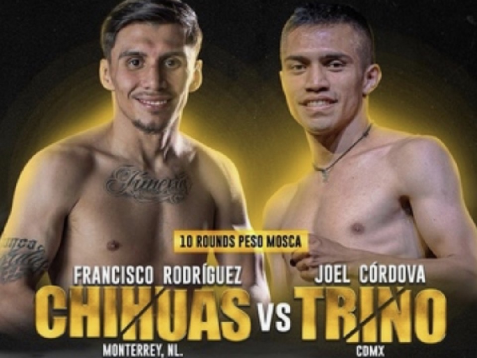 �t���C���T�o�C�o����