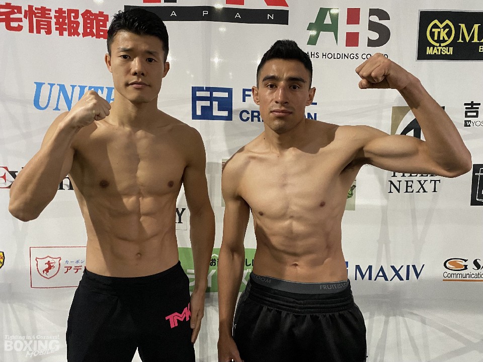 �T�c�a�B���t�B�j�b�V���u���[��\��