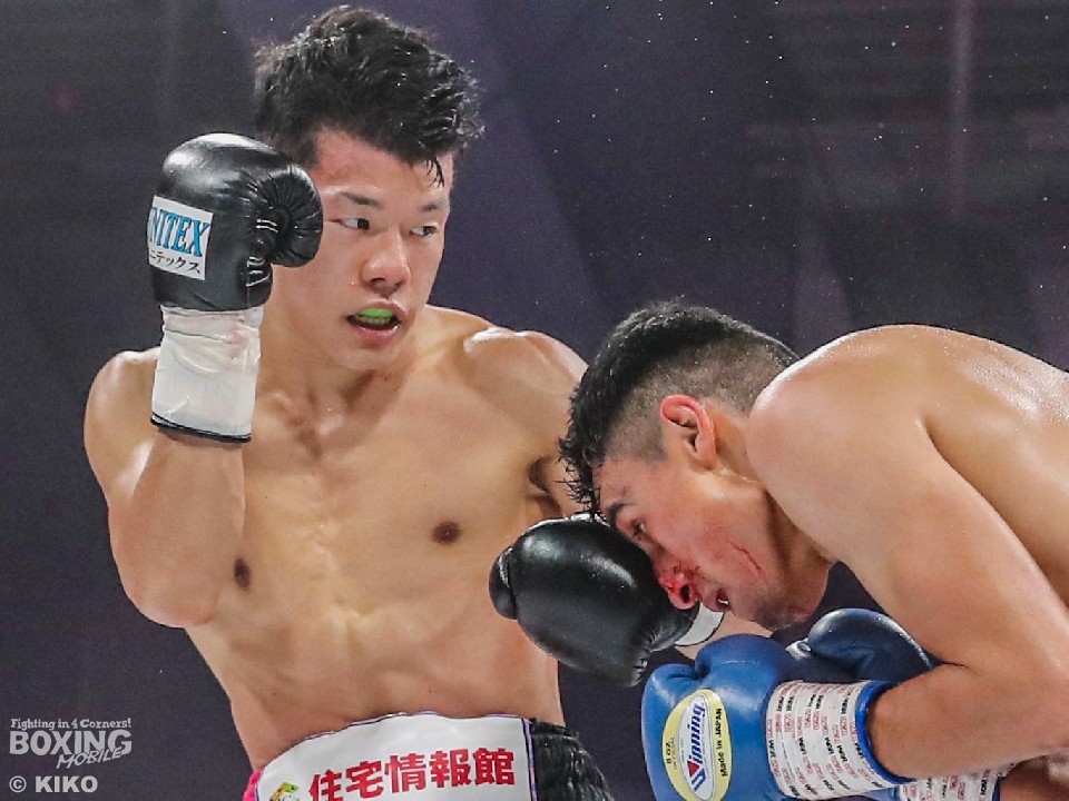 �T�c�a�B�����E�O����Ŗ�����!