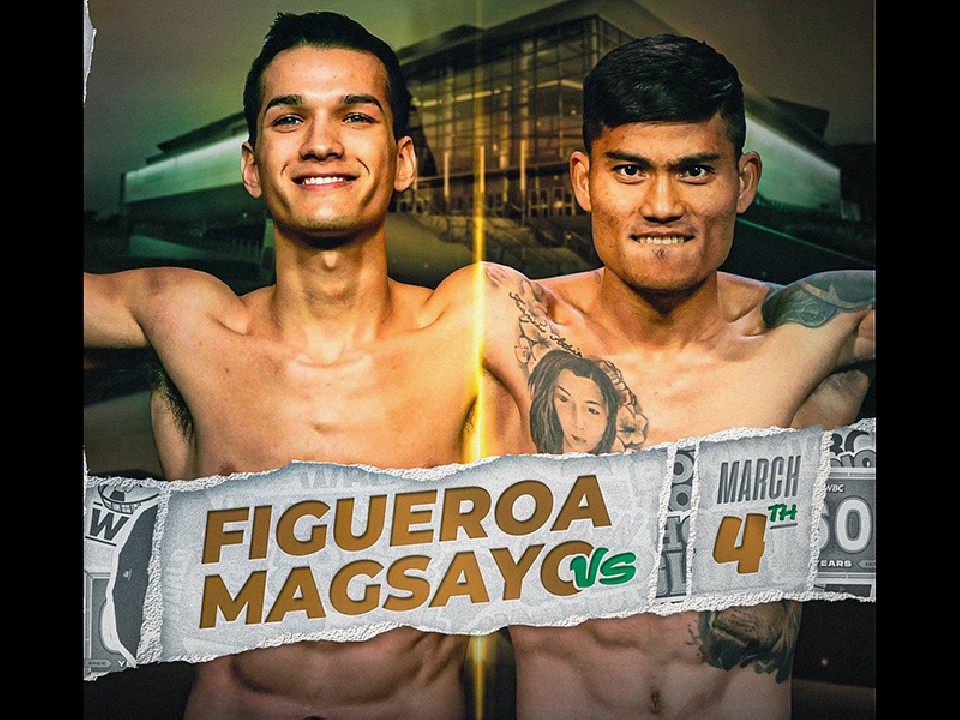 �t�B�Q���Avs�}�O�T��