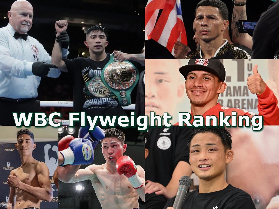 WBCフライ級トップ戦線に注目!