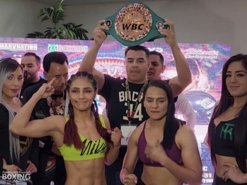 ���L�V�R�ŏ��q���E��!