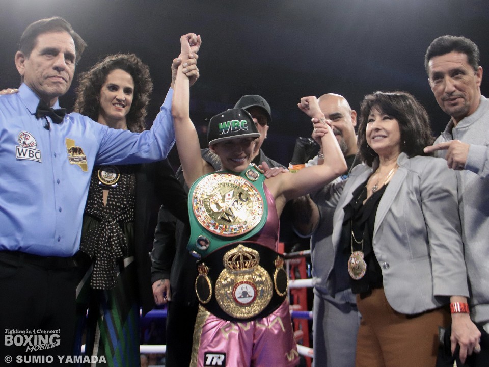 �Z�j�G�T�E�G�X�g���[�_(�č�)