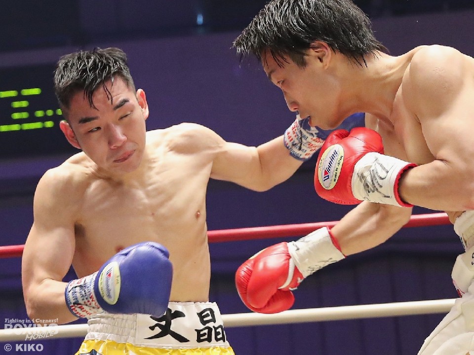 ���{�t���C�����������͏��񂩂猃����