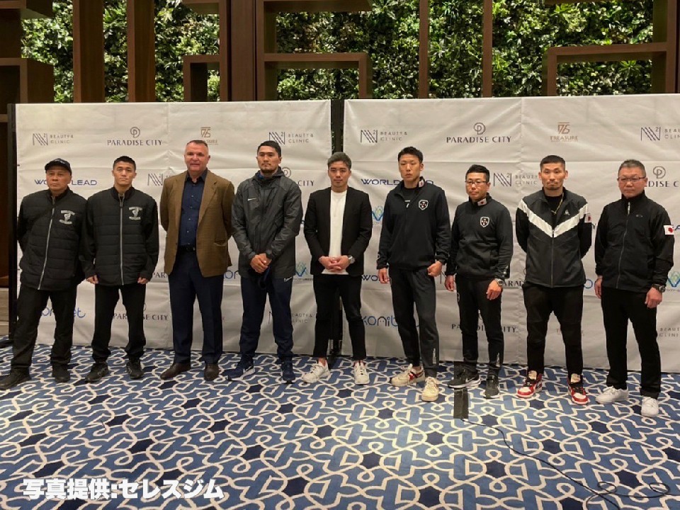 �|���i�o�Ɗ⍲���C���K���錾!