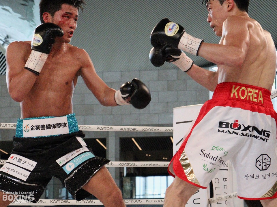 �O���P���؍��ł܂����̌���