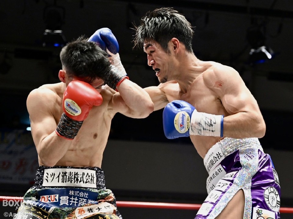 �F�Ö؏Gvs��������! �Ռ�KO�Ƀz�[�����h�ꂽ!