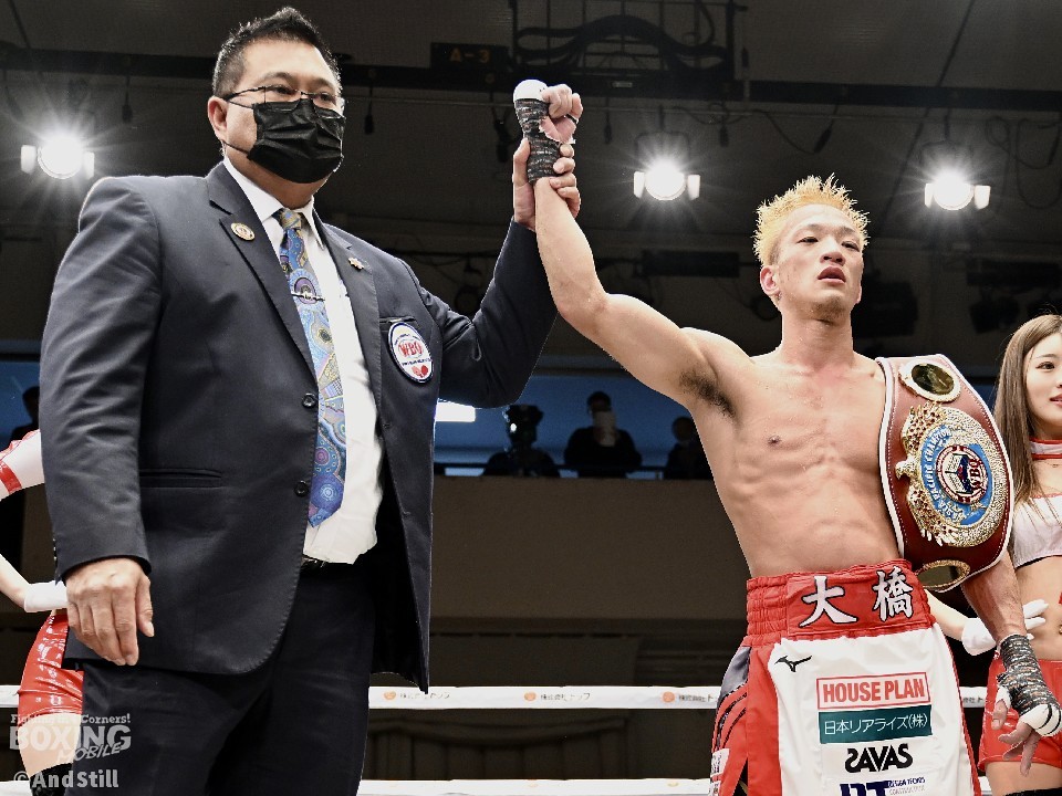 WBO-AP���� ������P(�勴)