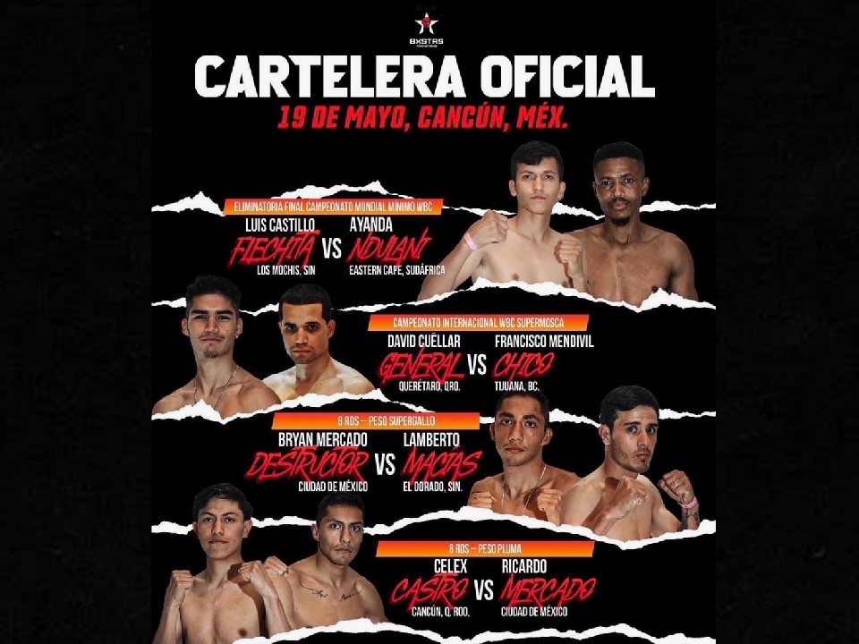 �J�X�e�B�[����(���L�V�R)�����팠���l��