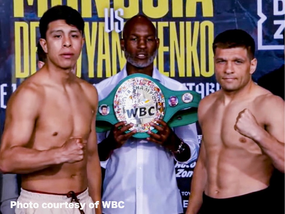 WBC�V���o�[���������