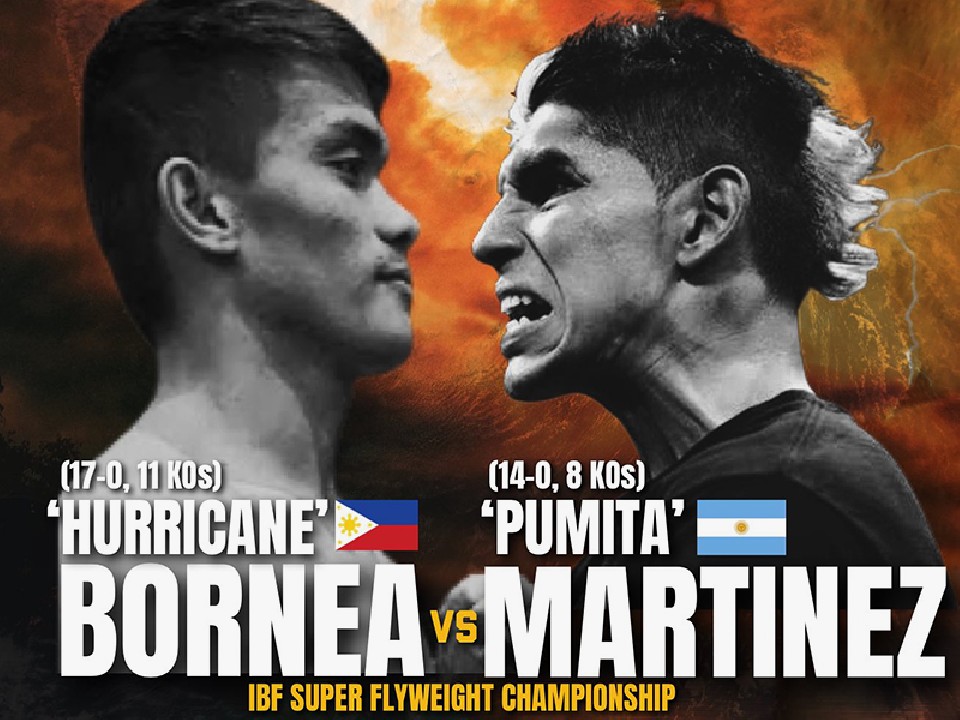 �}���e�B�l�Xvs�{���l�A