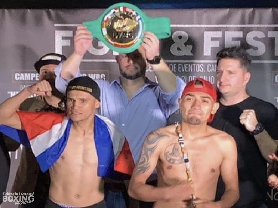 WBC���e���E�t���C�����������