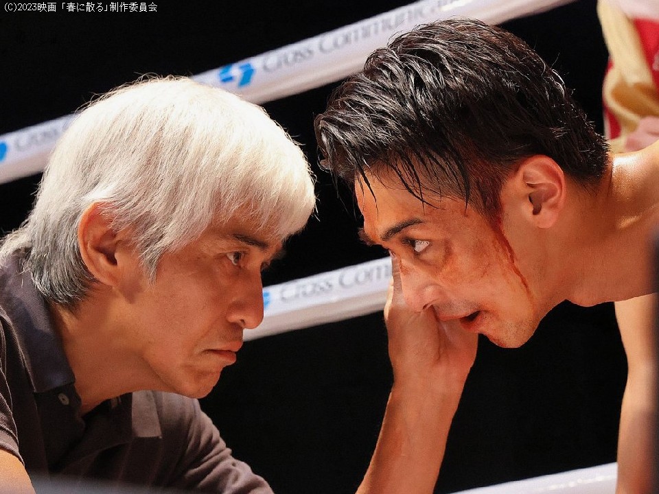 �f��u�t�ɎU��v