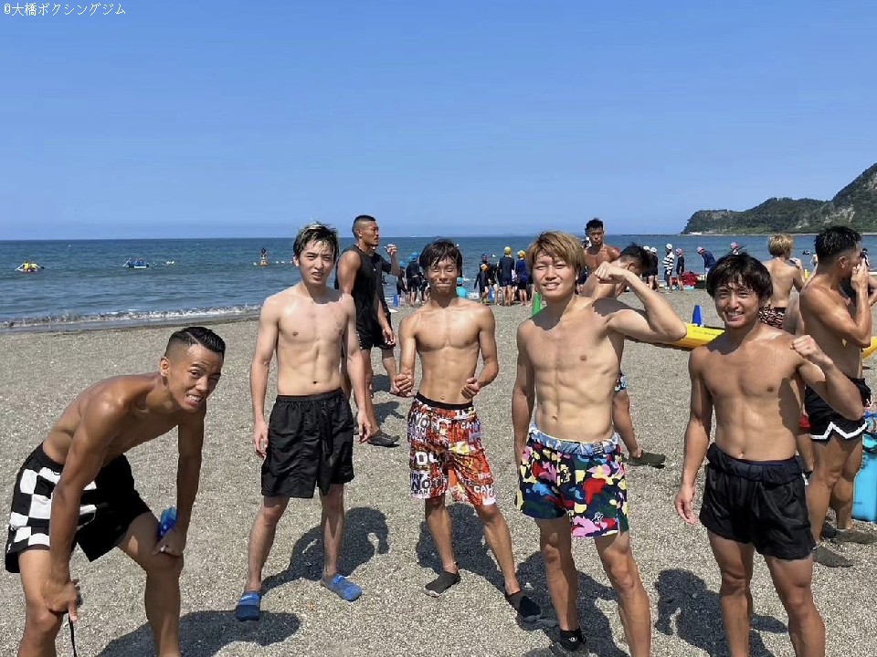 �勴�W���̐V�s�B