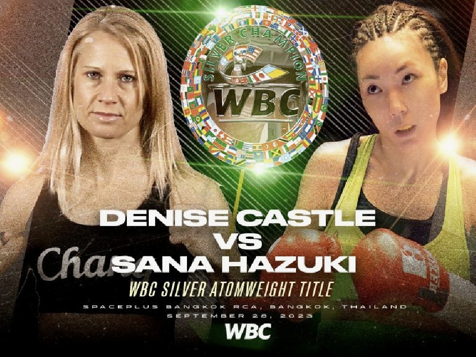 �t������! �^�C��WBC�V���o�[���������