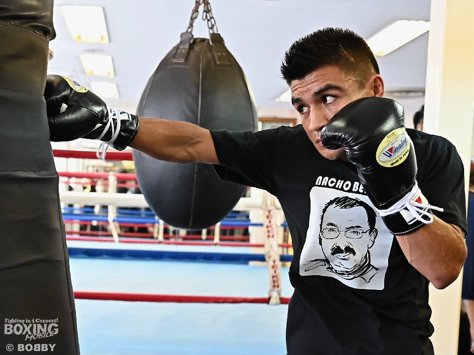 �s�C���ȃA���q�E�R���e�X