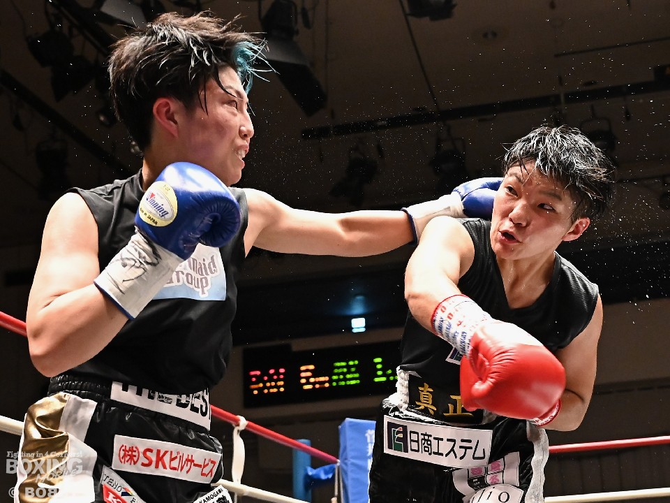 ���q�{�N�V���O���M��!