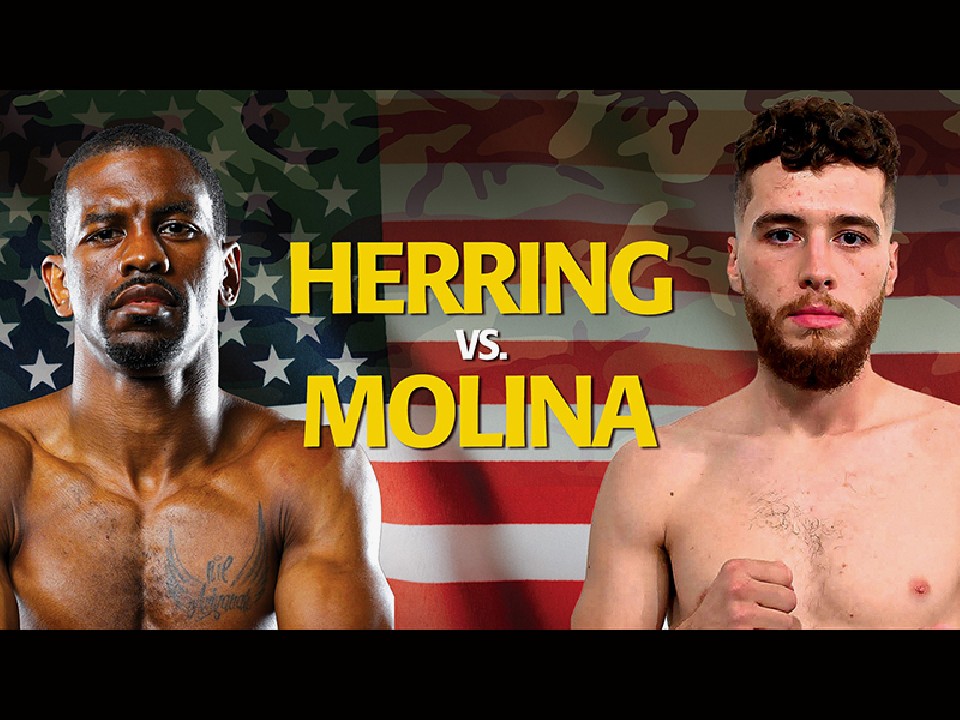 �w�����O�ċN�̃����O