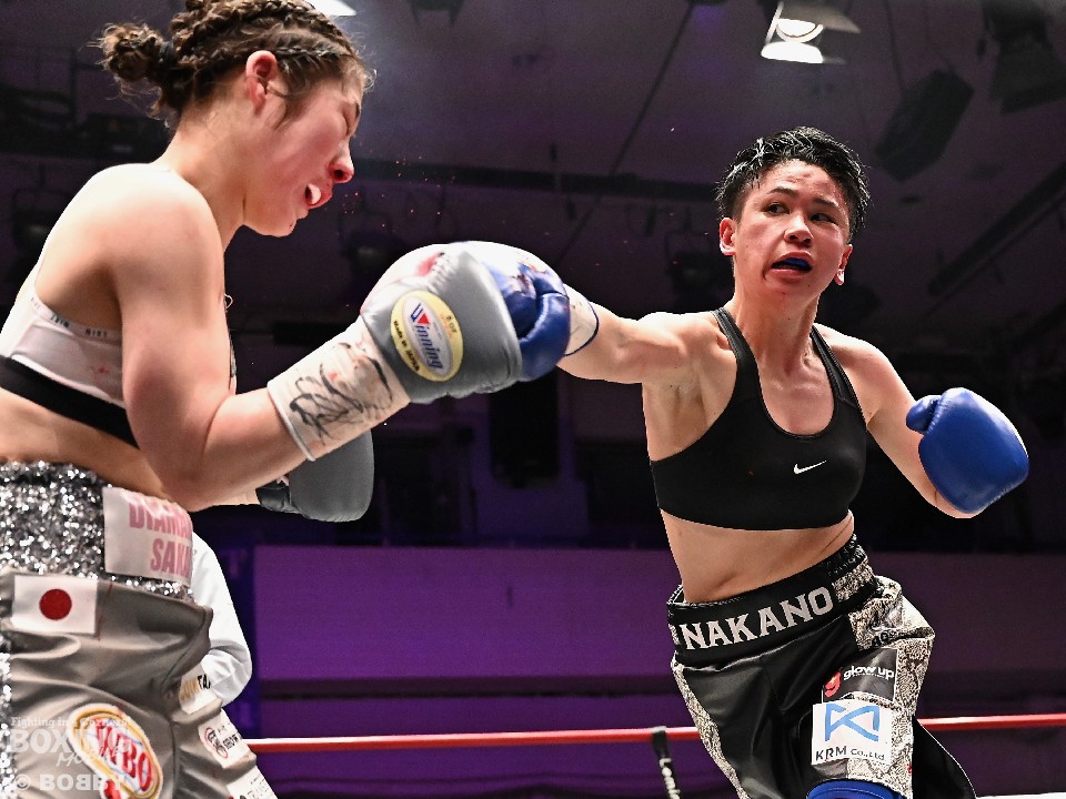 WBO-AP���q�_�u���^�C�g����