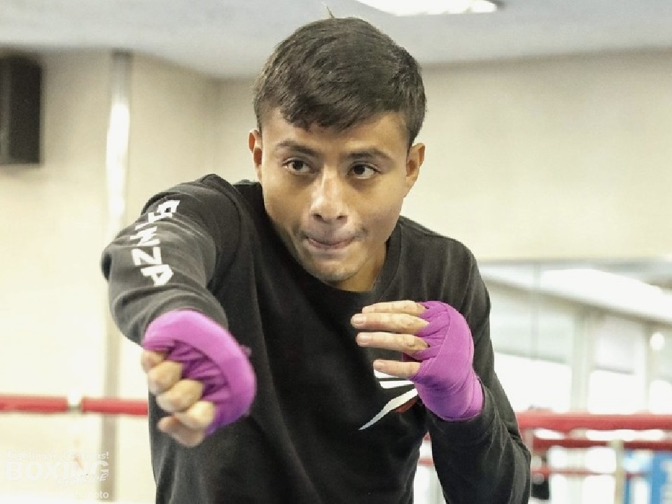 ���u���X�u���{�őf���炵������������v