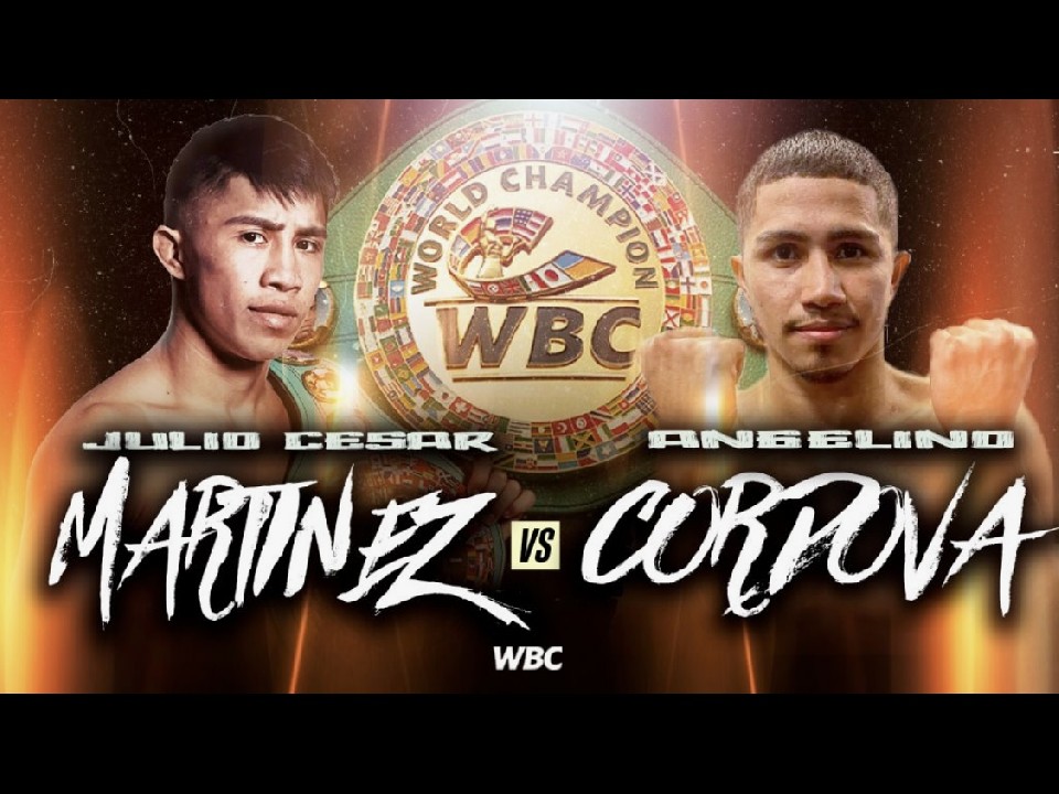 3��30��!�č����X�x�K�X